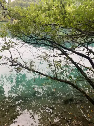 photo from Croatia