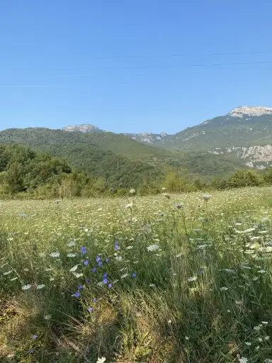 photo from Montenegro