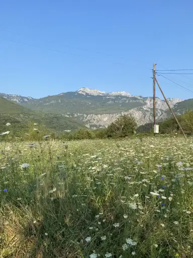 photo from Montenegro
