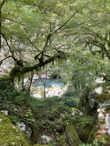 photo from Montenegro