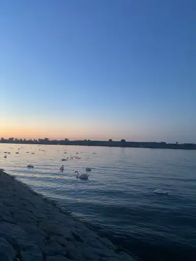 photo from Serbia